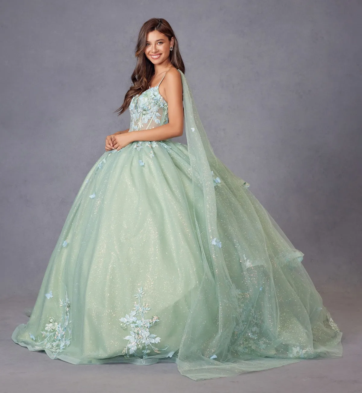 3D Multi Floral Applique Cap Sleeve Long Quinceanera Dress JTJT1466H