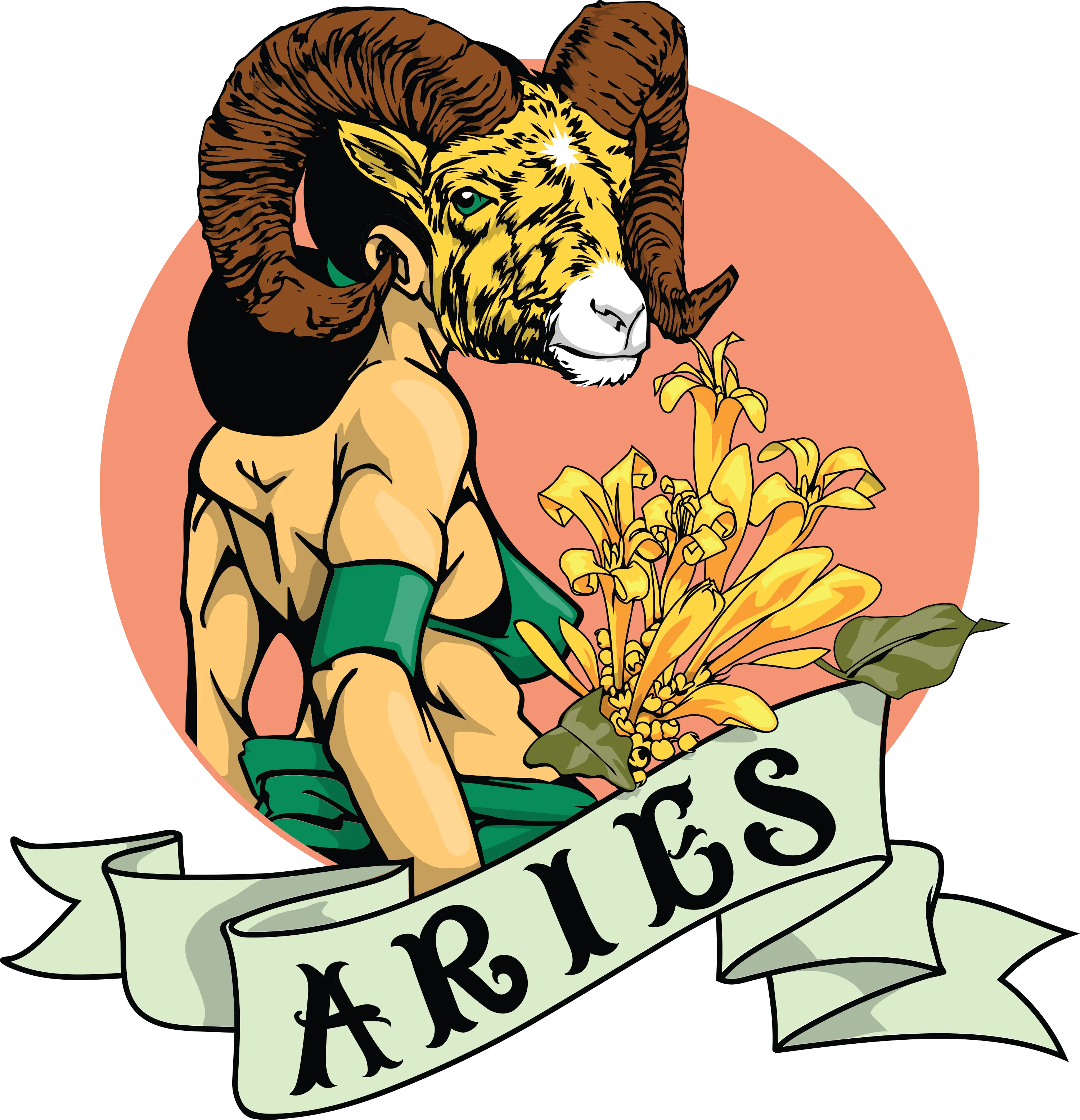 ARIES BY SAM FLORES WOMEN'S MUSCLE TEE
