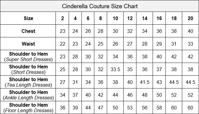 Girls Short Cap Sleeve Dress with Lace Bodice by Cinderella Couture 5045