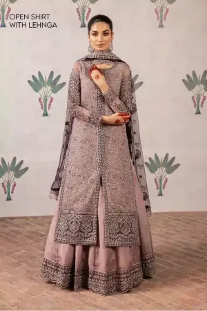 Iznik | Shendi Luxury Formals 23 | ISC-05 KAAFISHA