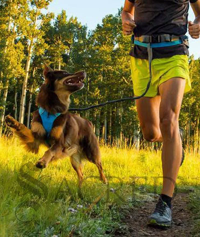 Trail Runner