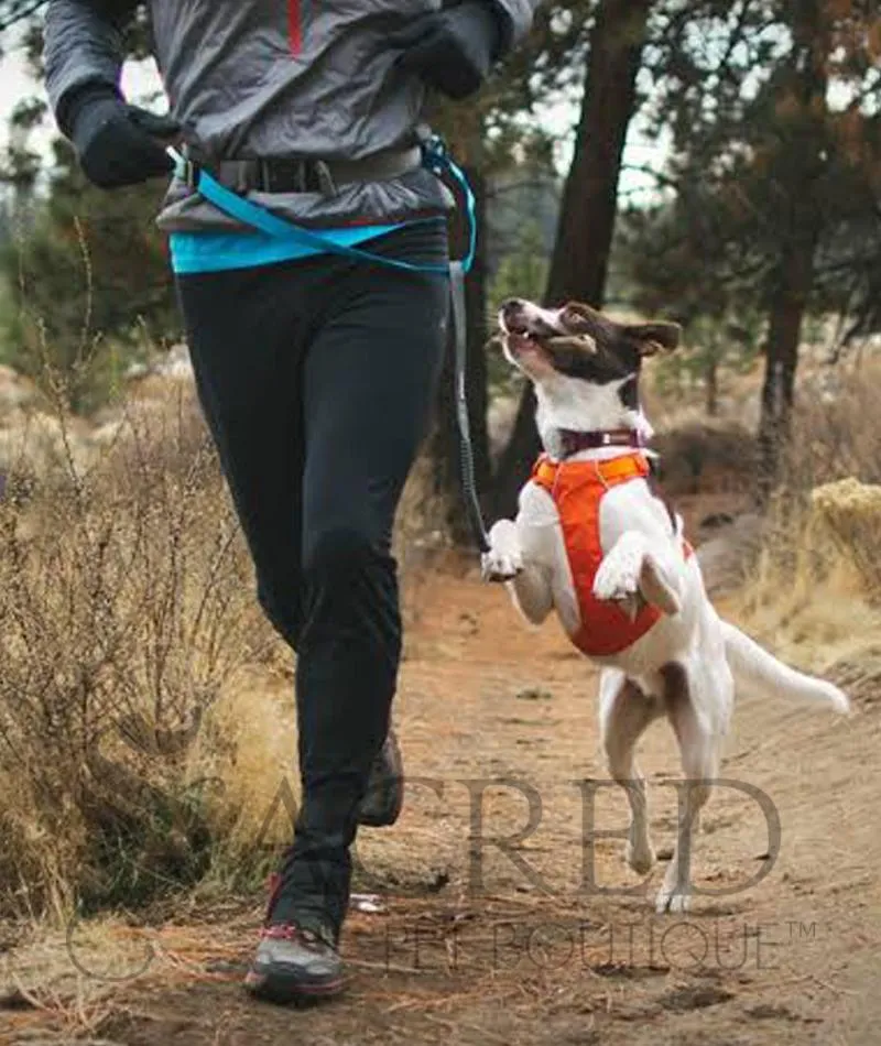 Trail Runner